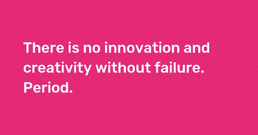 There is no innovation and creativity without failure. Period.