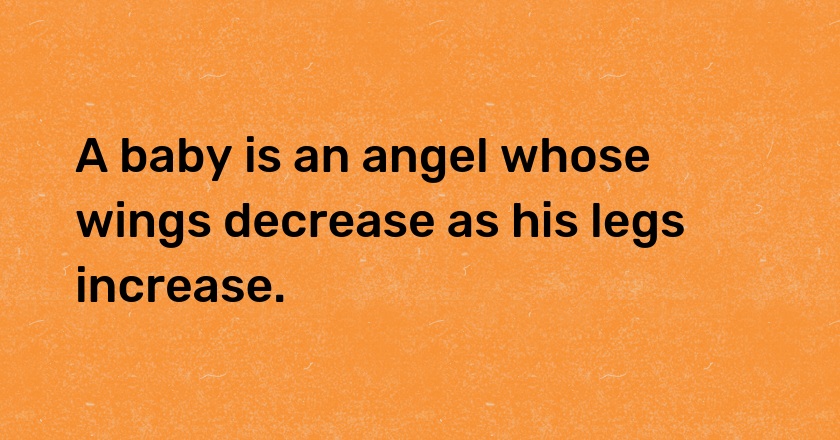 A baby is an angel whose wings decrease as his legs increase.