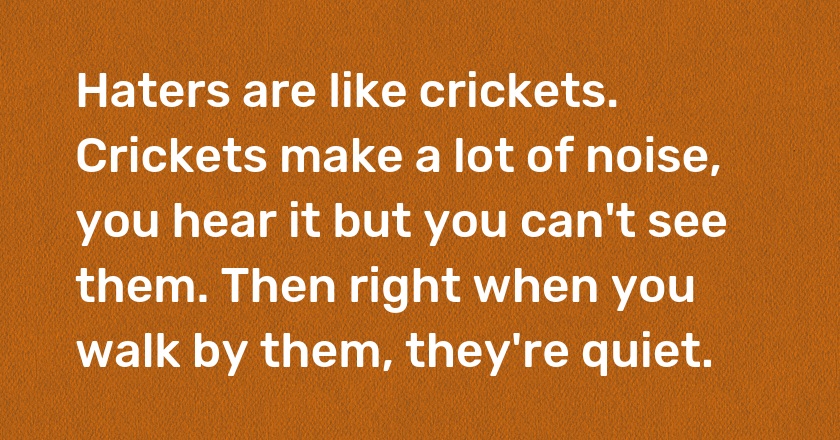 Haters are like crickets. Crickets make a lot of noise, you hear it but you can't see them. Then right when you walk by them, they're quiet.