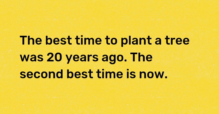 The best time to plant a tree was 20 years ago. The second best time is now.