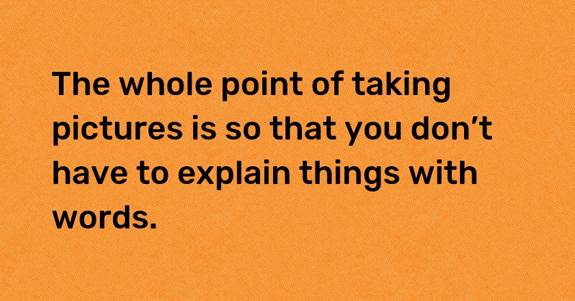 The whole point of taking pictures is so that you don’t have to explain things with words.