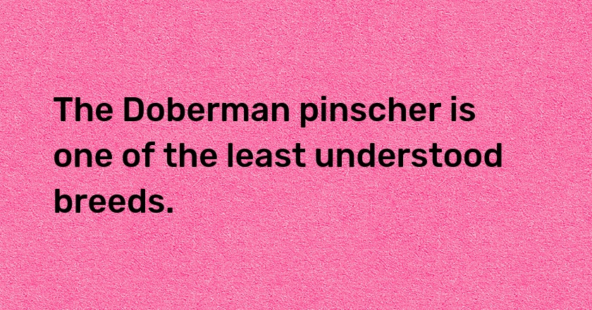 The Doberman pinscher is one of the least understood breeds.