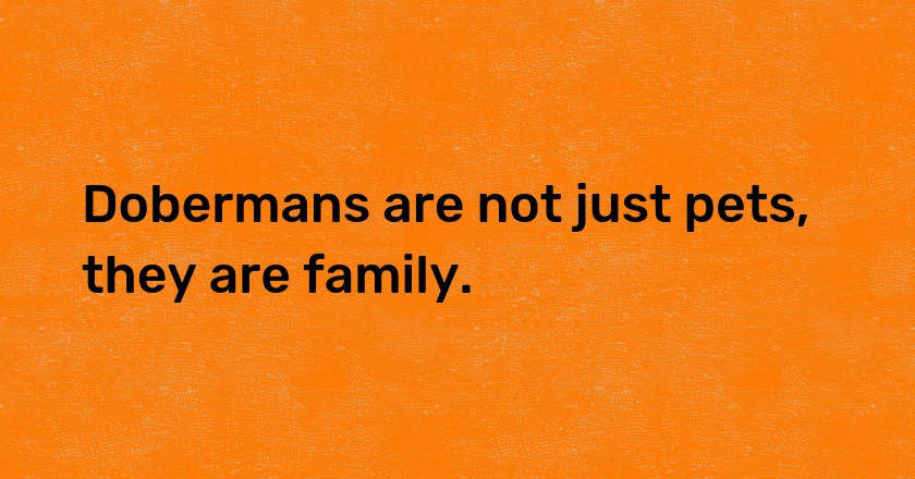 Dobermans are not just pets, they are family.