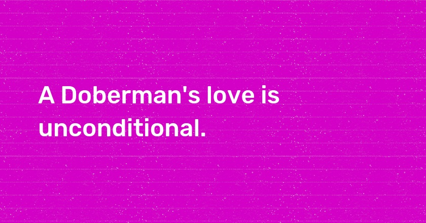 A Doberman's love is unconditional.