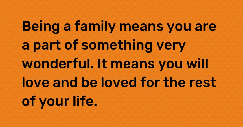 Being a family means you are a part of something very wonderful. It means you will love and be loved for the rest of your life.