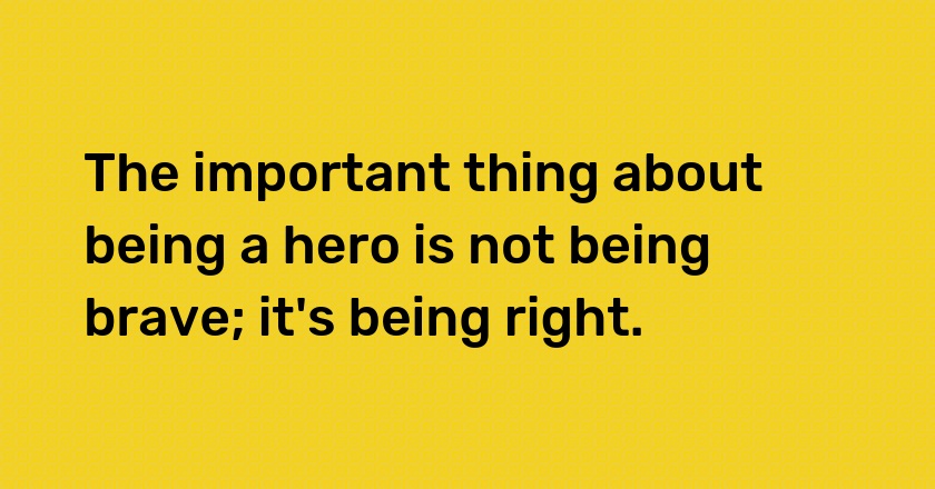 The important thing about being a hero is not being brave; it's being right.