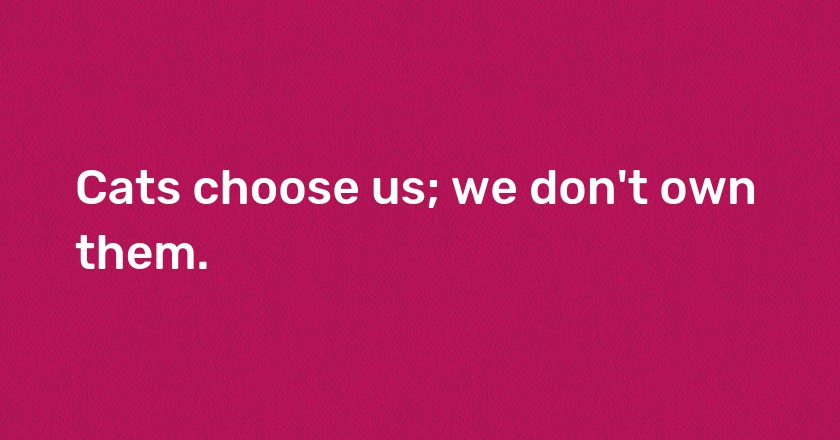 Cats choose us; we don't own them.