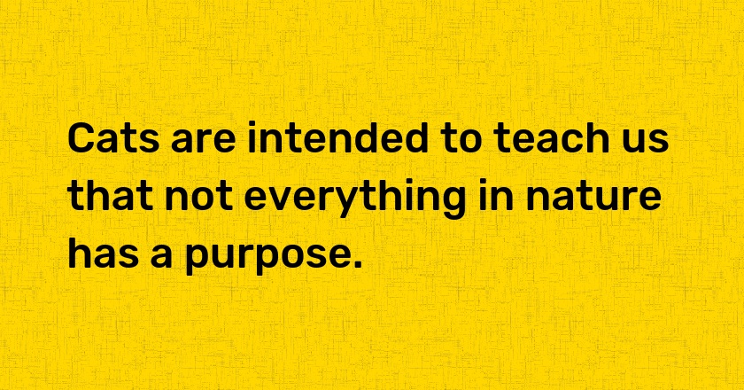 Cats are intended to teach us that not everything in nature has a purpose.