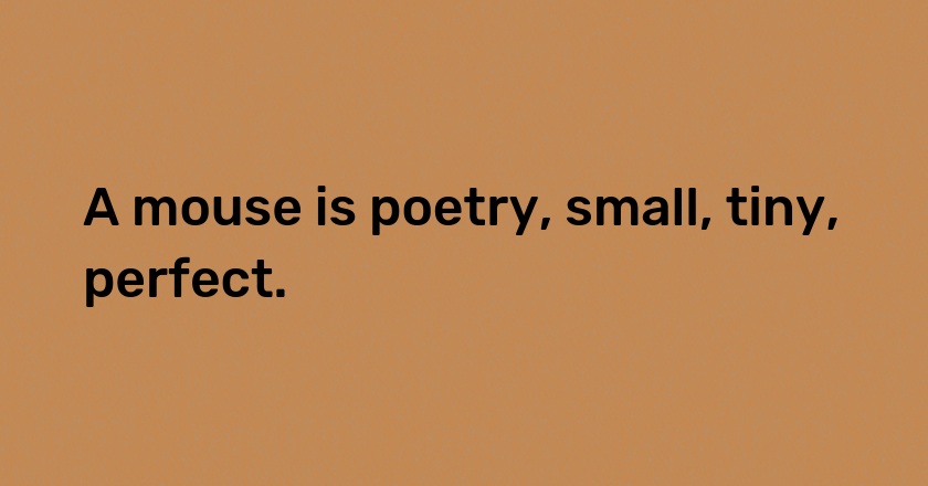 A mouse is poetry, small, tiny, perfect.