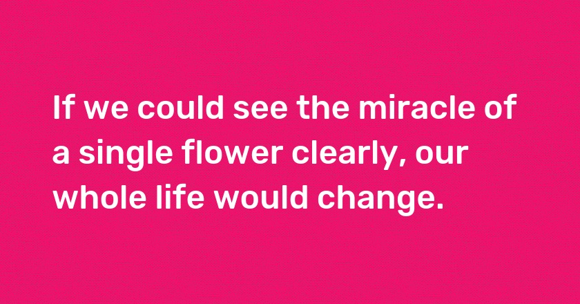 If we could see the miracle of a single flower clearly, our whole life would change.