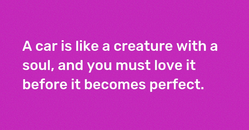 A car is like a creature with a soul, and you must love it before it becomes perfect.