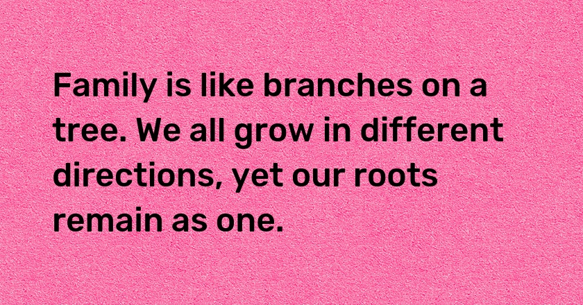 Family is like branches on a tree. We all grow in different directions, yet our roots remain as one.