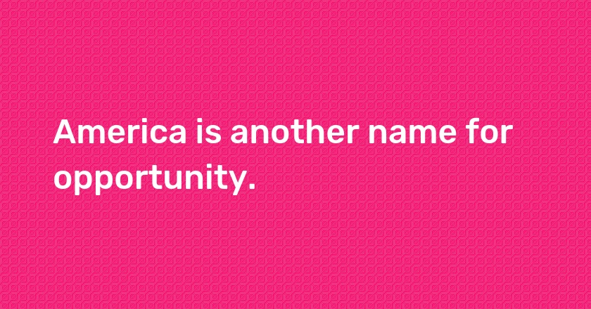 America is another name for opportunity.