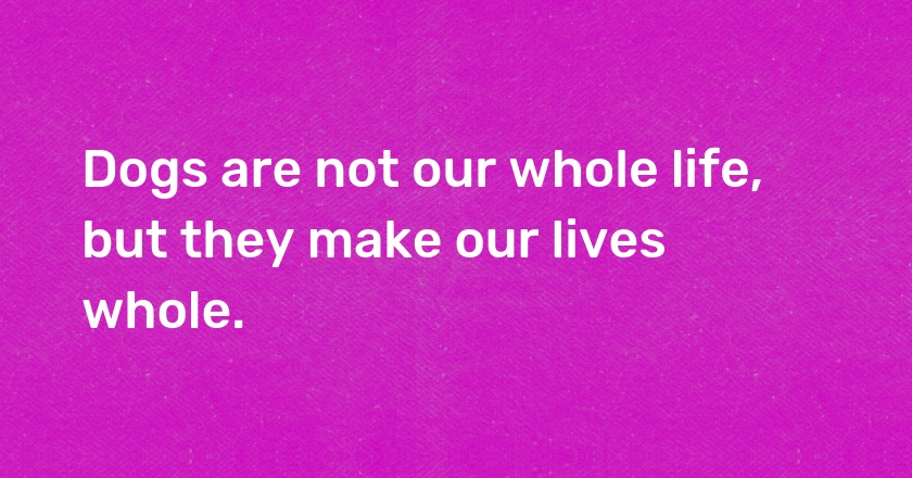 Dogs are not our whole life, but they make our lives whole.