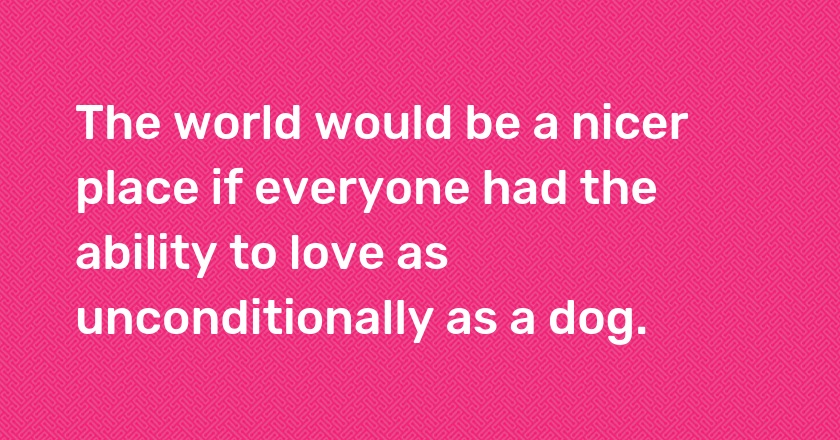 The world would be a nicer place if everyone had the ability to love as unconditionally as a dog.