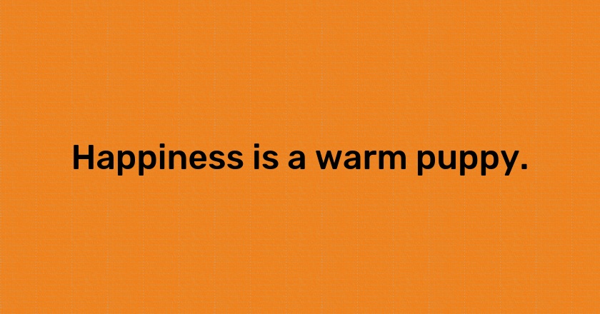 Happiness is a warm puppy.