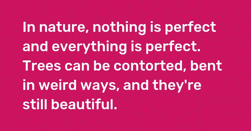 In nature, nothing is perfect and everything is perfect. Trees can be contorted, bent in weird ways, and they're still beautiful.