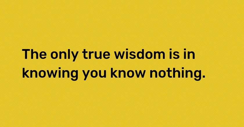 The only true wisdom is in knowing you know nothing.