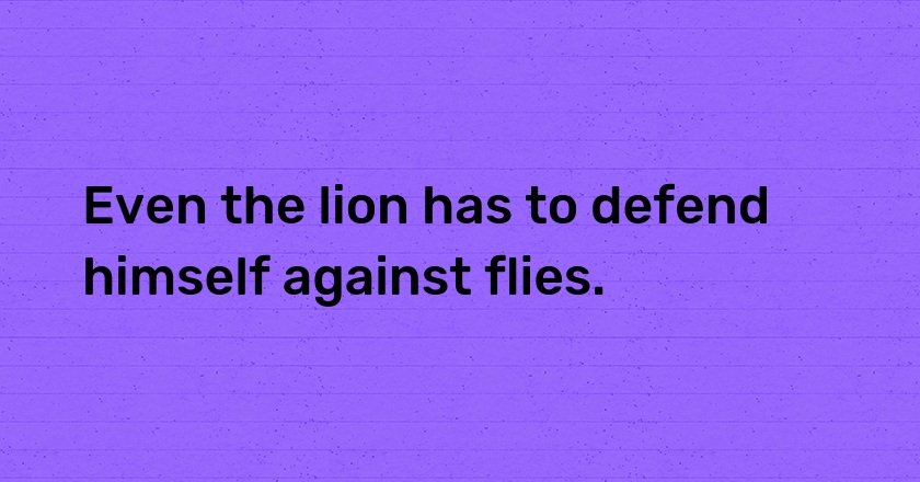 Even the lion has to defend himself against flies.