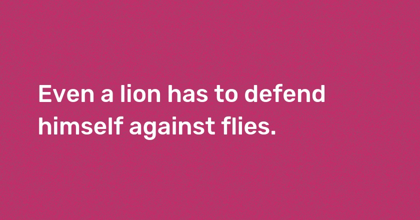 Even a lion has to defend himself against flies.