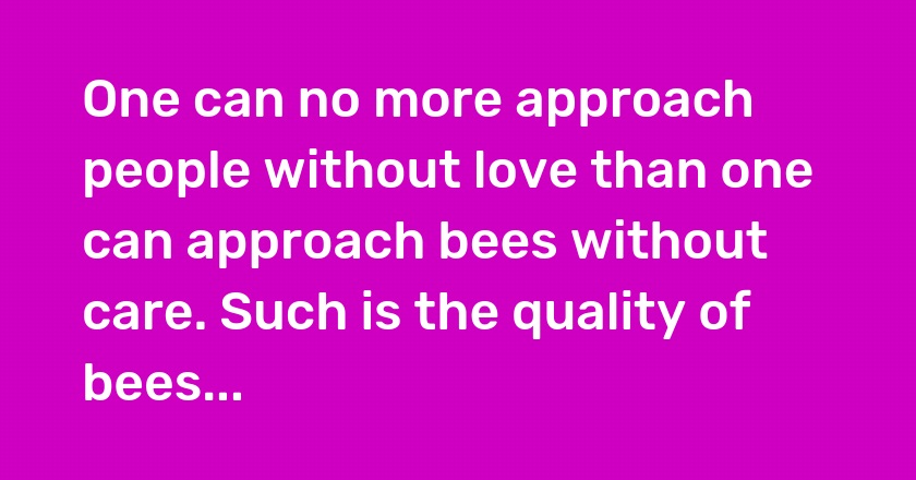 One can no more approach people without love than one can approach bees without care. Such is the quality of bees...