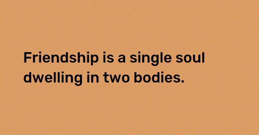 Friendship is a single soul dwelling in two bodies.