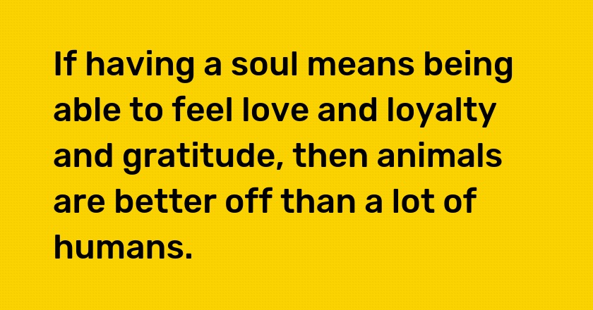 If having a soul means being able to feel love and loyalty and gratitude, then animals are better off than a lot of humans.