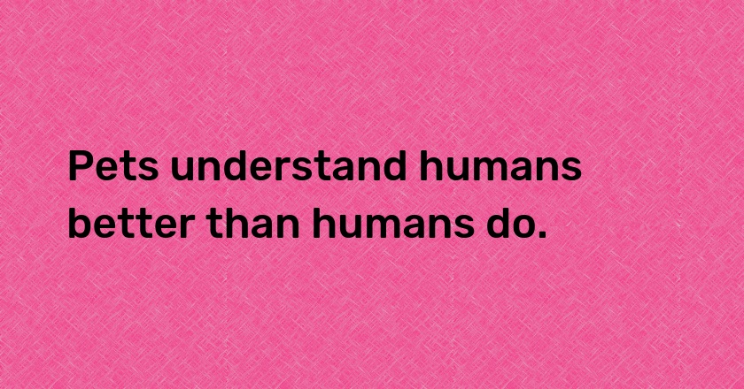 Pets understand humans better than humans do.