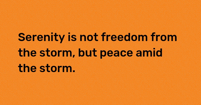 Serenity is not freedom from the storm, but peace amid the storm.