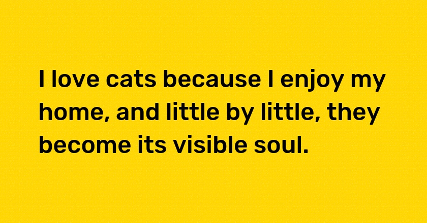 I love cats because I enjoy my home, and little by little, they become its visible soul.