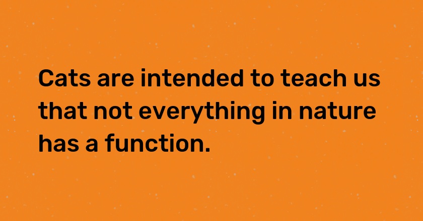 Cats are intended to teach us that not everything in nature has a function.