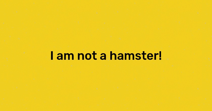 I am not a hamster!