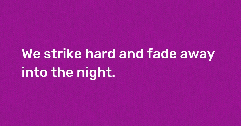 We strike hard and fade away into the night.