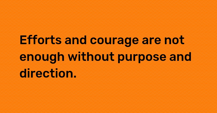 Efforts and courage are not enough without purpose and direction.