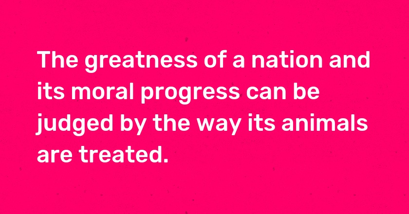 The greatness of a nation and its moral progress can be judged by the way its animals are treated.