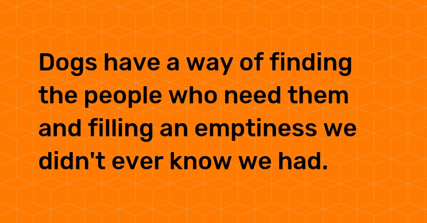 Dogs have a way of finding the people who need them and filling an emptiness we didn't ever know we had.