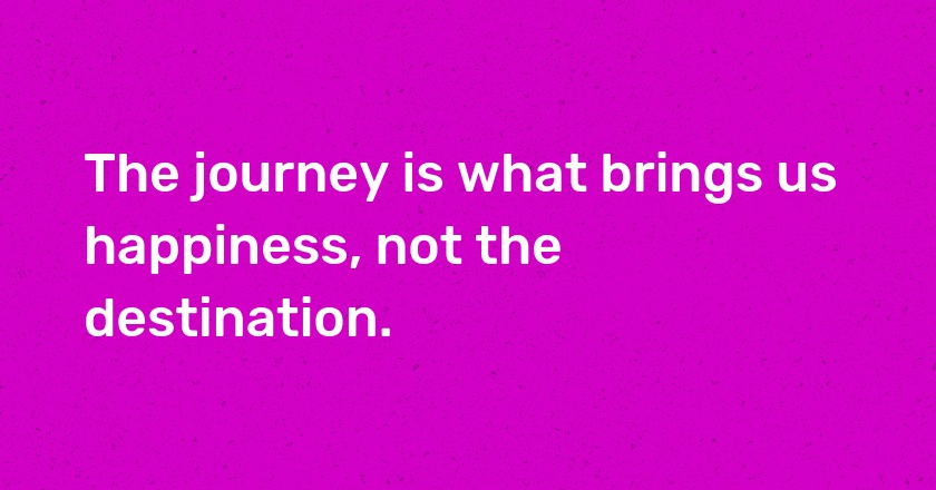 The journey is what brings us happiness, not the destination.