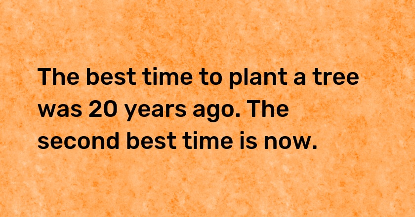 The best time to plant a tree was 20 years ago. The second best time is now.