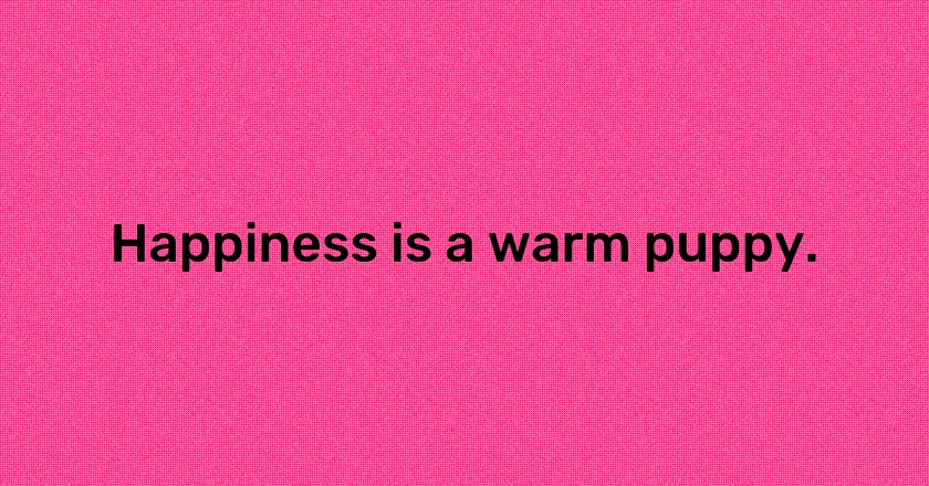 Happiness is a warm puppy.