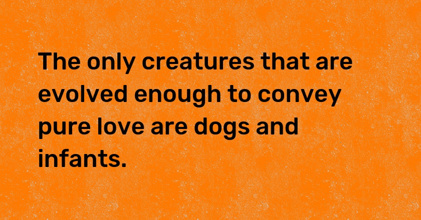 The only creatures that are evolved enough to convey pure love are dogs and infants.