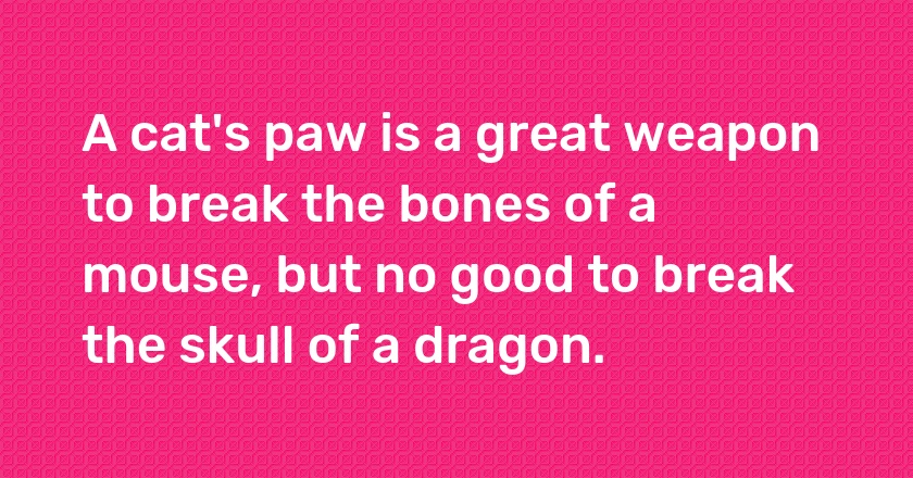 A cat's paw is a great weapon to break the bones of a mouse, but no good to break the skull of a dragon.