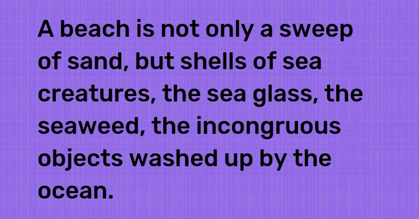 A beach is not only a sweep of sand, but shells of sea creatures, the sea glass, the seaweed, the incongruous objects washed up by the ocean.