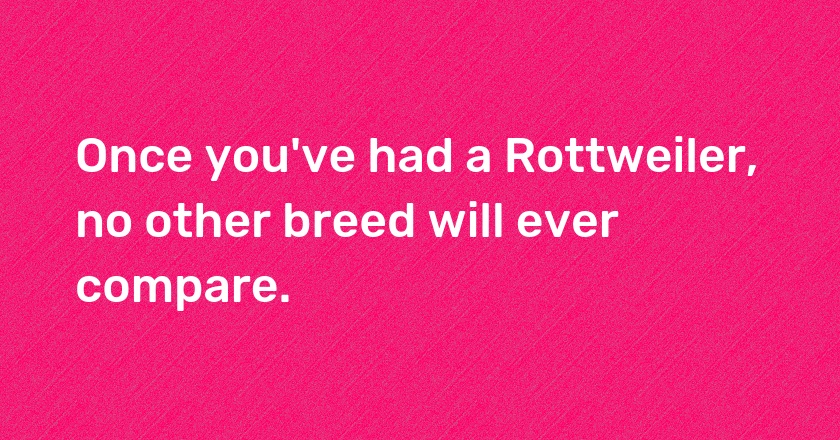 Once you've had a Rottweiler, no other breed will ever compare.