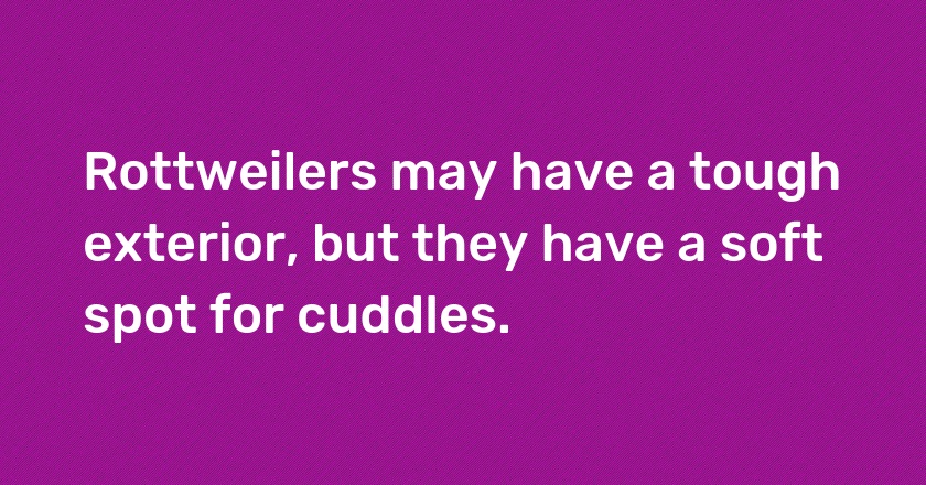 Rottweilers may have a tough exterior, but they have a soft spot for cuddles.