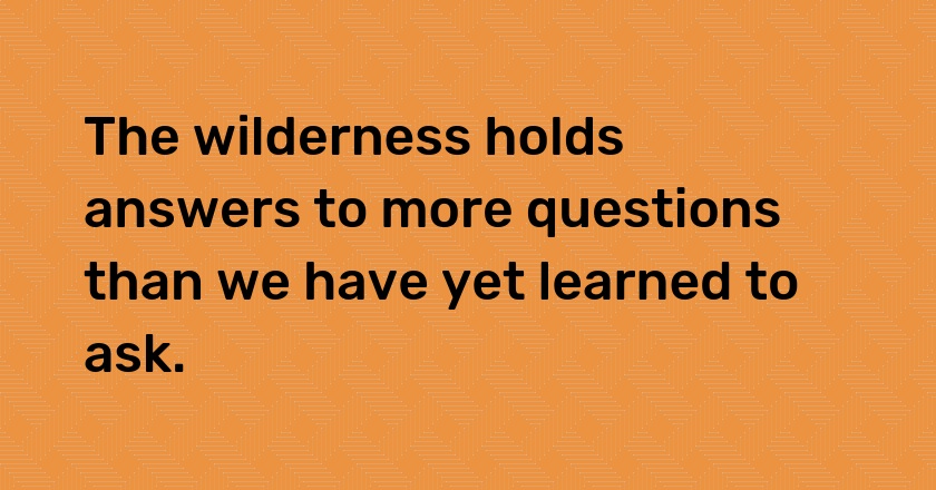 The wilderness holds answers to more questions than we have yet learned to ask.