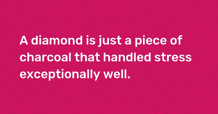 A diamond is just a piece of charcoal that handled stress exceptionally well.