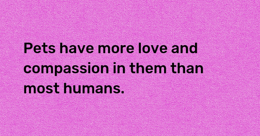 Pets have more love and compassion in them than most humans.