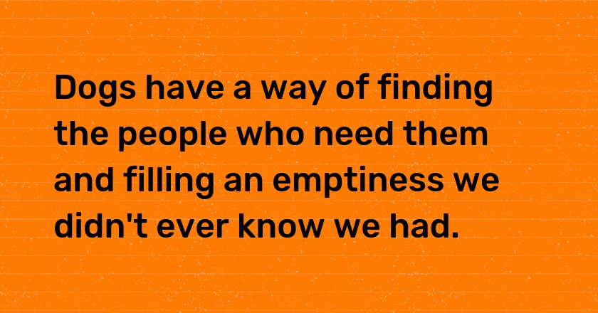 Dogs have a way of finding the people who need them and filling an emptiness we didn't ever know we had.