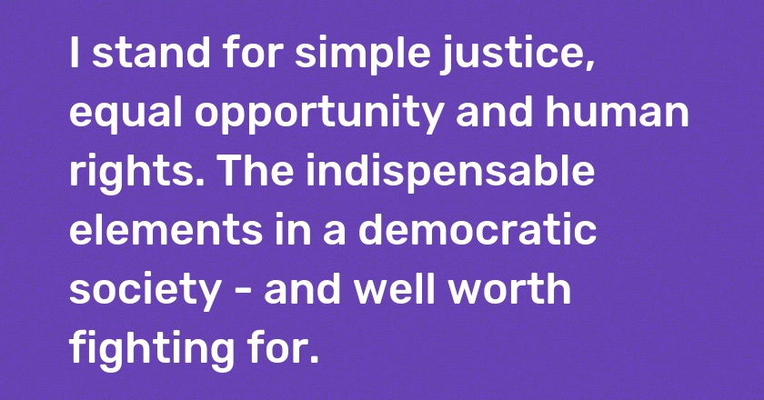 I stand for simple justice, equal opportunity and human rights. The indispensable elements in a democratic society - and well worth fighting for.