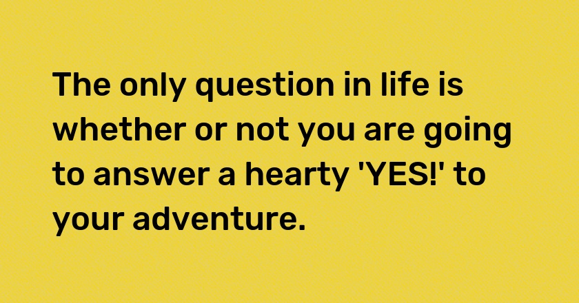 The only question in life is whether or not you are going to answer a hearty 'YES!' to your adventure.